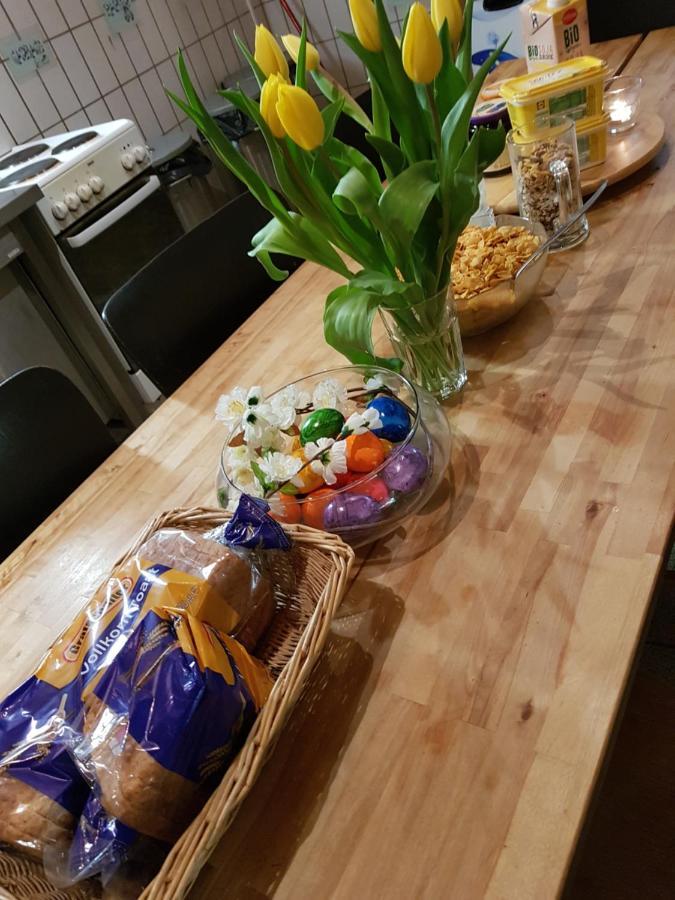 نزل أوسنابروكفي Penthouse Backpackers المظهر الخارجي الصورة