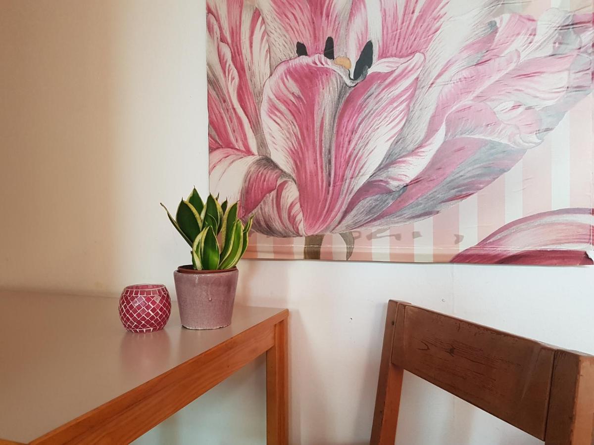 نزل أوسنابروكفي Penthouse Backpackers المظهر الخارجي الصورة